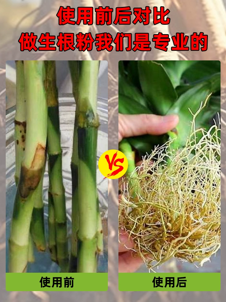 微信图片_20250530143608.png