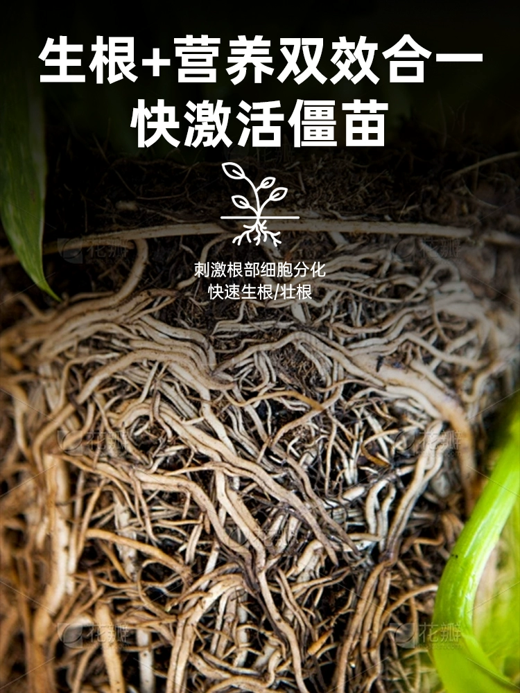 微信图片_20250530143433.png
