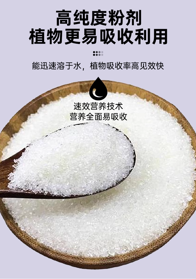 微信图片_20250530144539.png