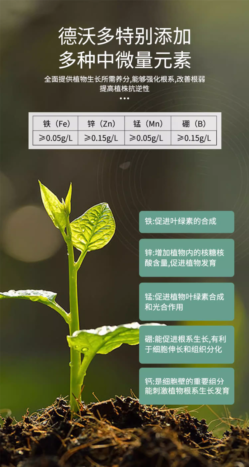 5 拷贝.png